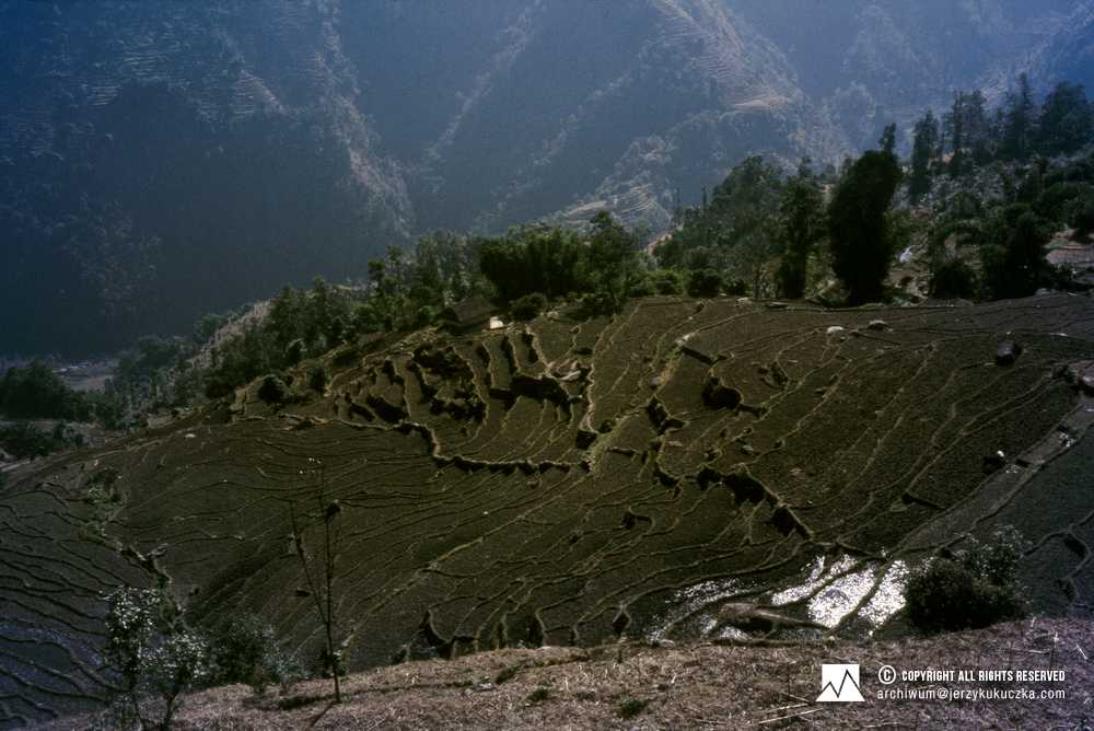Krajobraz pól ryżowych w Nepalu zarejestrowany podczas podróży do bazy.