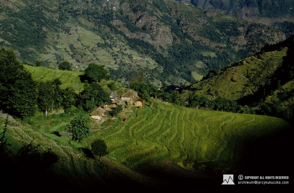 Pola ryżowe i domy w Nepalu.