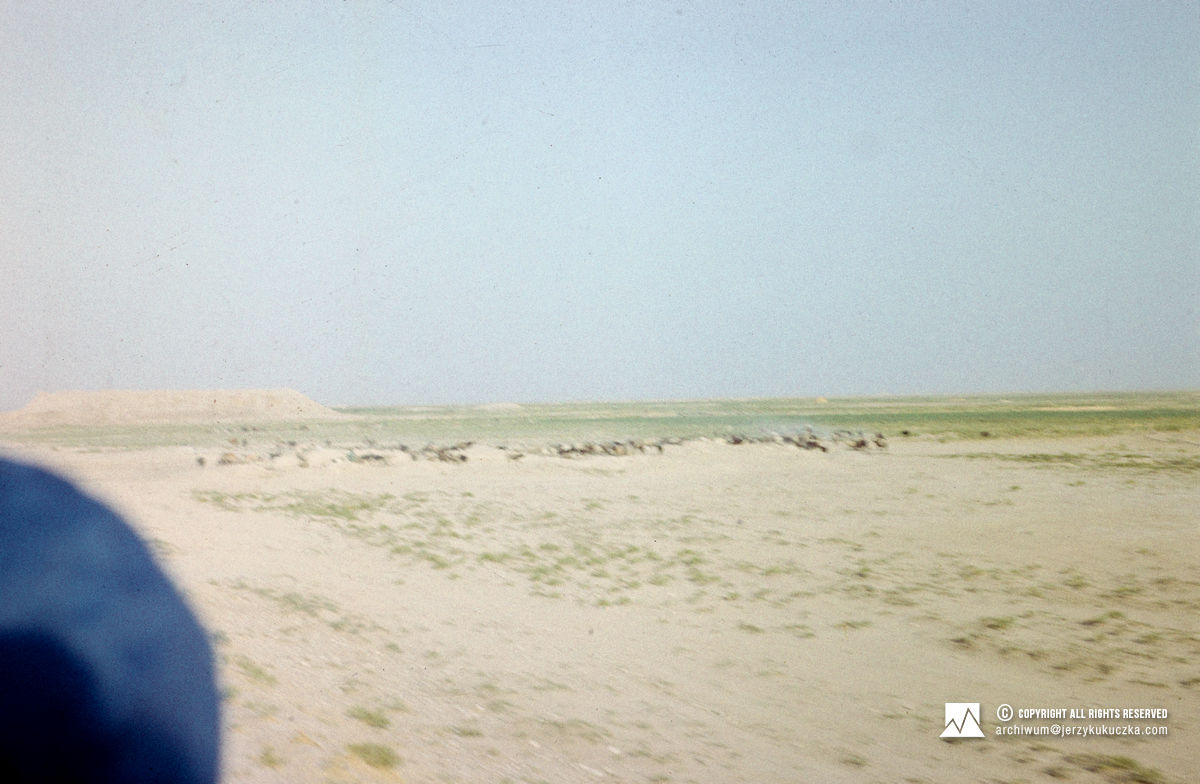 Afgański krajobraz.