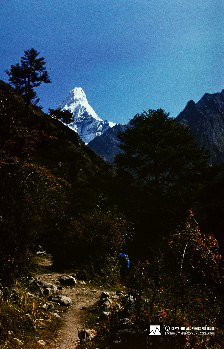 Południowo-zachodnia ściana Ama Dablam (6812 m n.p.m.).