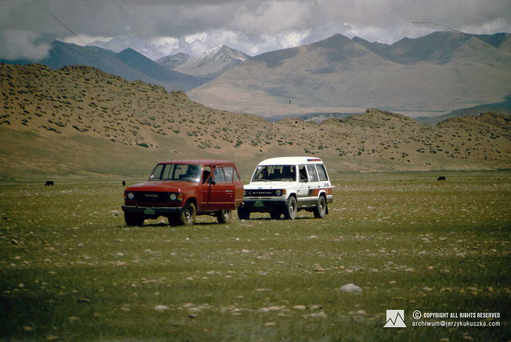 Jeeps rented by the participants of the expedition.