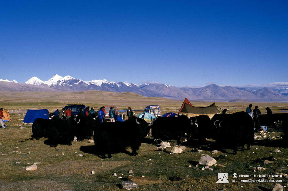Participants of the expedition and yaks in the Chinese base (5800 m above sea level).