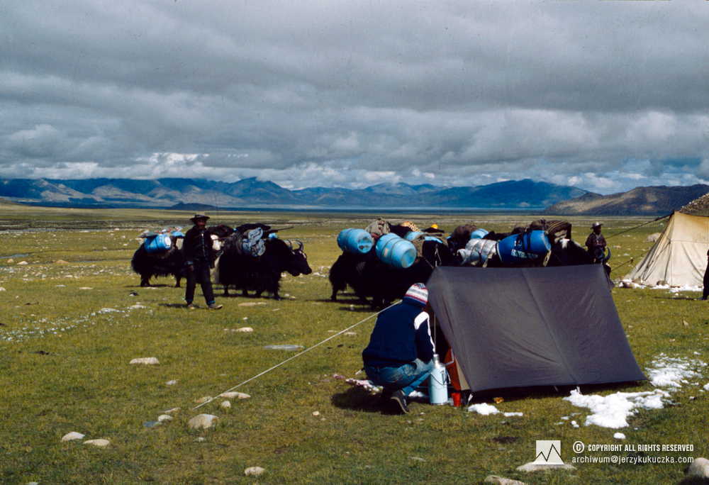 Lech Korniszewski with his back turned and yak herdsmen with animals at the Chinese base.