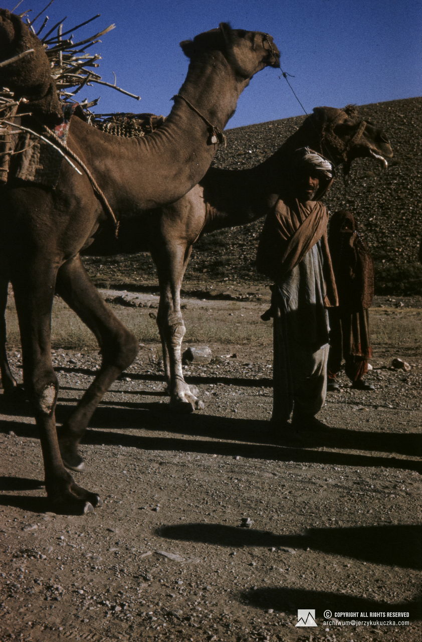 Pasterze wielbłądów. Przejazd uczestników wyprawy przez Afganistan. Trasa z Katowic do Islamabadu.