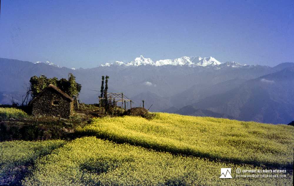 Pejzaż z masywem Kangchenjungi widocznym w tle.